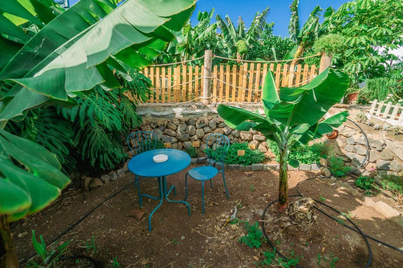 Casa Emblematica Maruca Y Leli Holiday home Los Silos